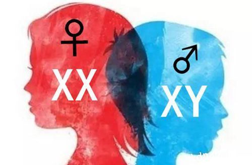 查Y染色体就能知道怀的是男宝还是女宝？