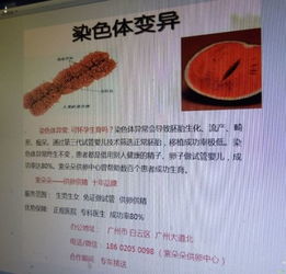 香港验血查染色体是否异常(香港裕博生物科技有限公司验血)
