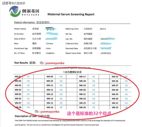 香港验血理想基因检测(香港理想基因就香港有吗) 