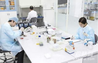 怎么查验香港验血报告(香港验血在哪里可以预约啊 急急急) 