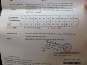 香港验血胎停又怀孕(吃什么才可以生男孩儿 ) 