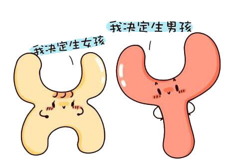 香港验血男孩准确率(香港验血鉴定男女准吗) 