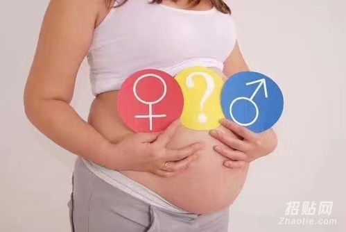 香港男女验血报告查询网站(求香港验血查男女攻略,不知道在