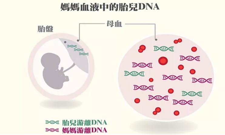 预定血液测男女找中介牢靠吗,验血女孩居然翻盘