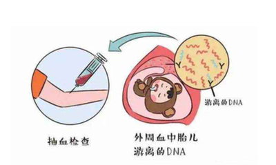 高效的查验性别规范无需赴港