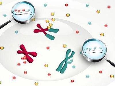 专业查验性别安排技术先进