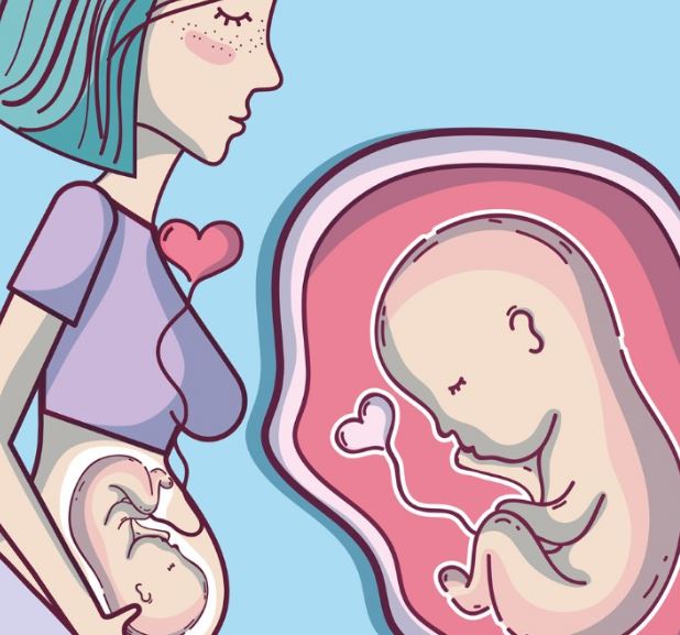 孕期做亲子判定究竟准禁绝？