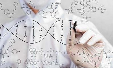 胎芽7mm验血男女会准吗,最具威望的验血组织是哪家