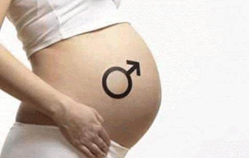 怎样判定胎儿性别