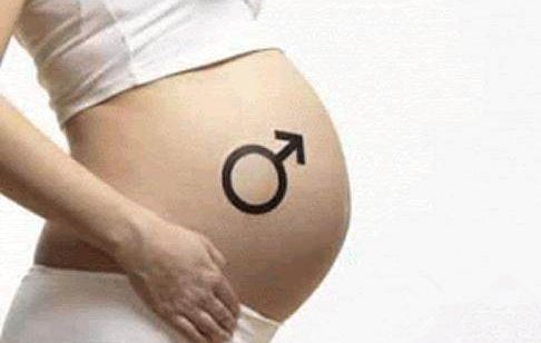 专业验血查男女组织查验保证