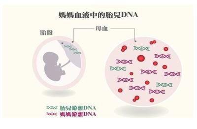 邮寄抽血化验去香港牢靠吗（孕妇有必要了解）