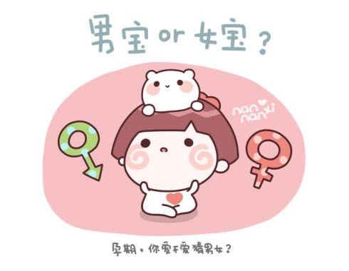 前期香港验血和孕囊形状看男女，你选哪个？